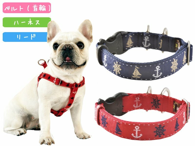 【WHCY】Harness / Collar - Yacht