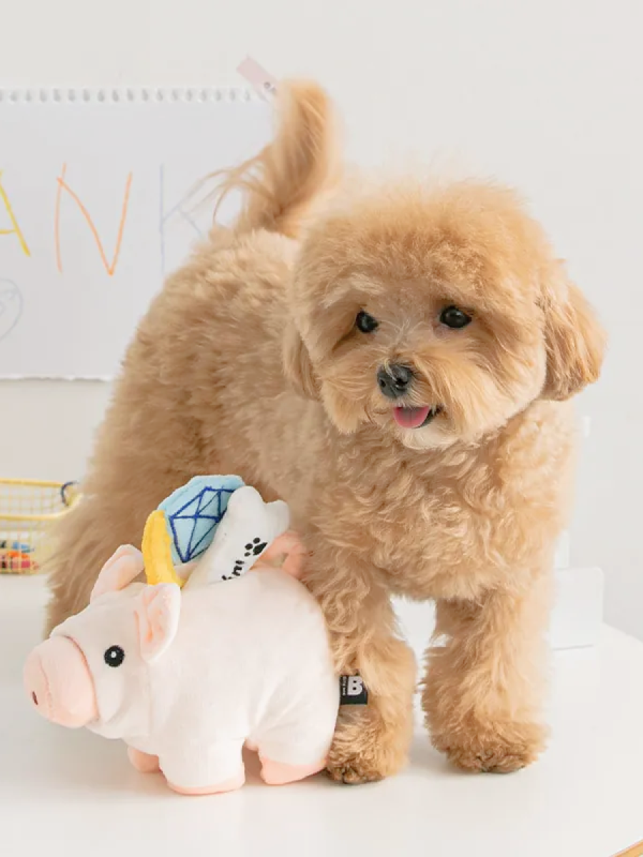 【韓國 BiteMe】滿滿豬｜藏食玩具