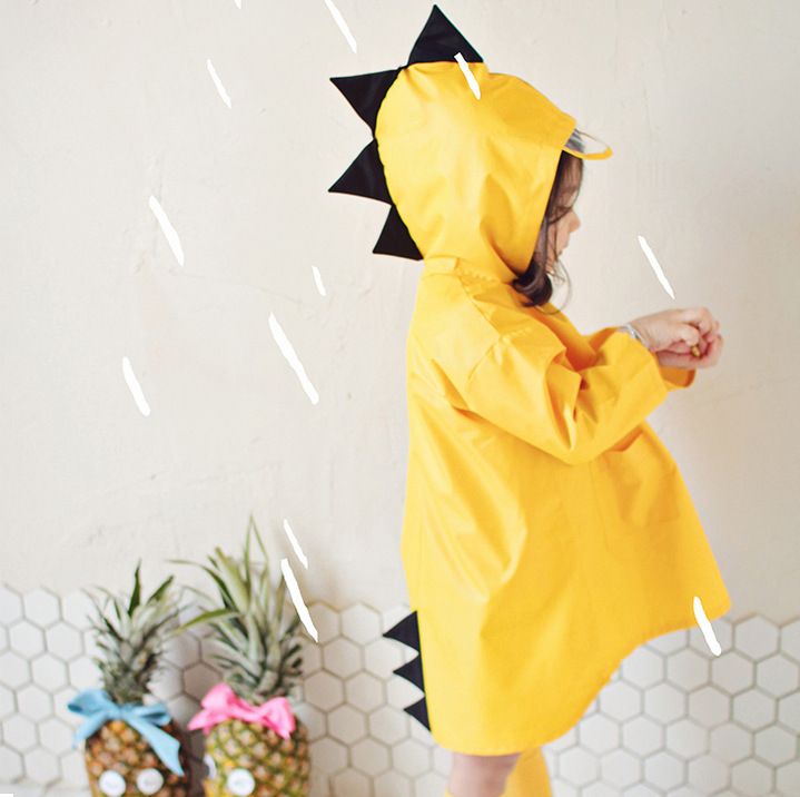 Dinosaur Raincoat