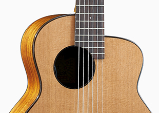 aNueNue MN14 Feather Bird Guitar 古典鳥吉他
