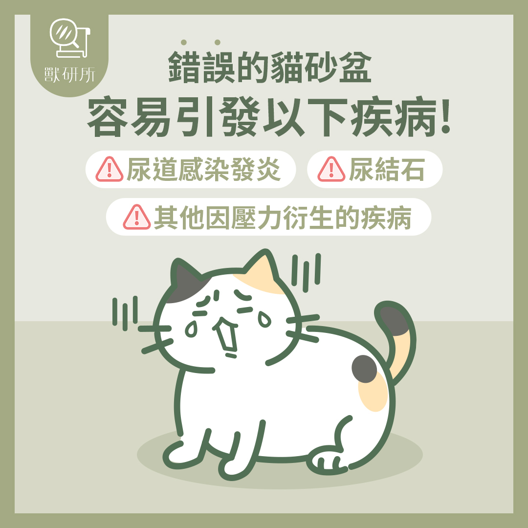 獸研所_Vert-Institute_100%select-Cat-Litter-1-wrong-litter-box-disease