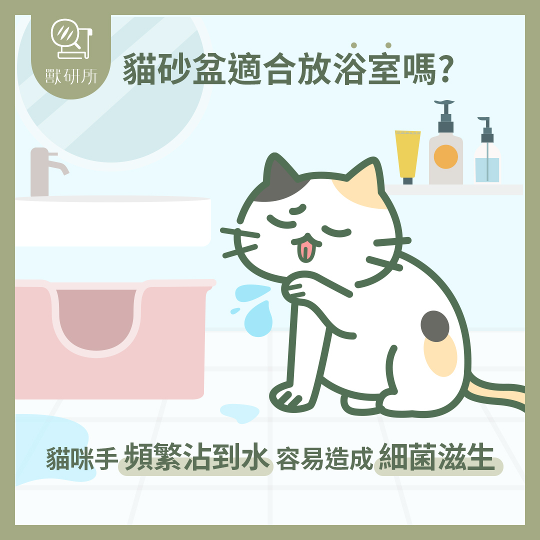 獸研所_Vert-Institute_100%select-Cat-Litter-3-cat-litter-box-bathroom