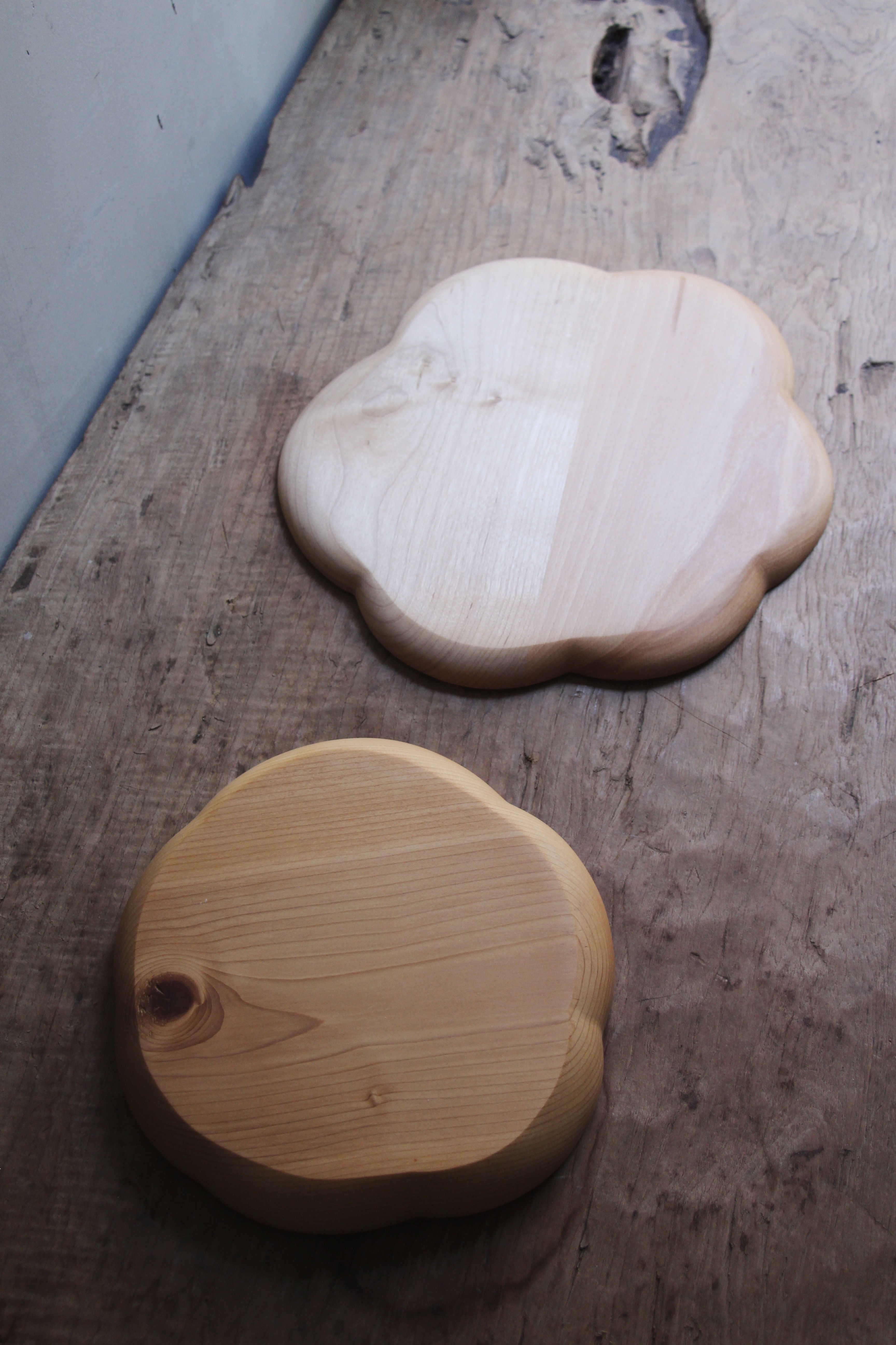 回戀。裝置計劃｜茶花木盤｜松木