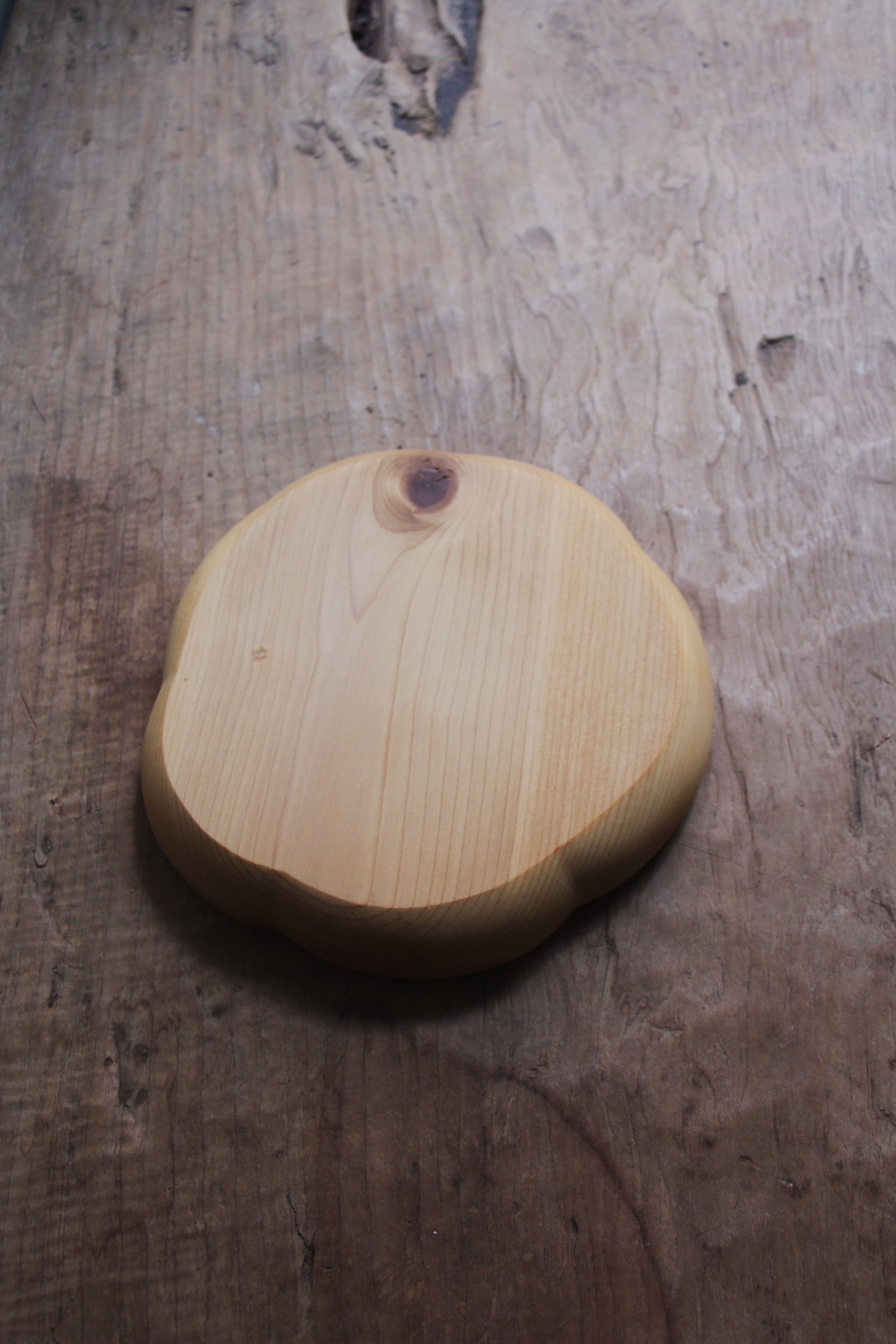 回戀。裝置計劃｜茶花木盤｜松木