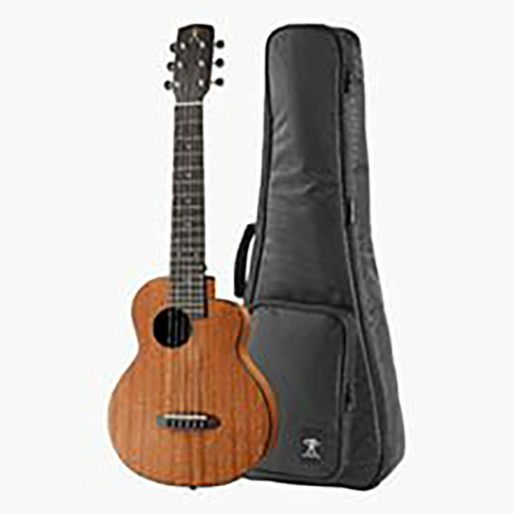 aNueNue S20 羽毛鳥/30吋小吉他/桃花心木 面單板 鳥吉他