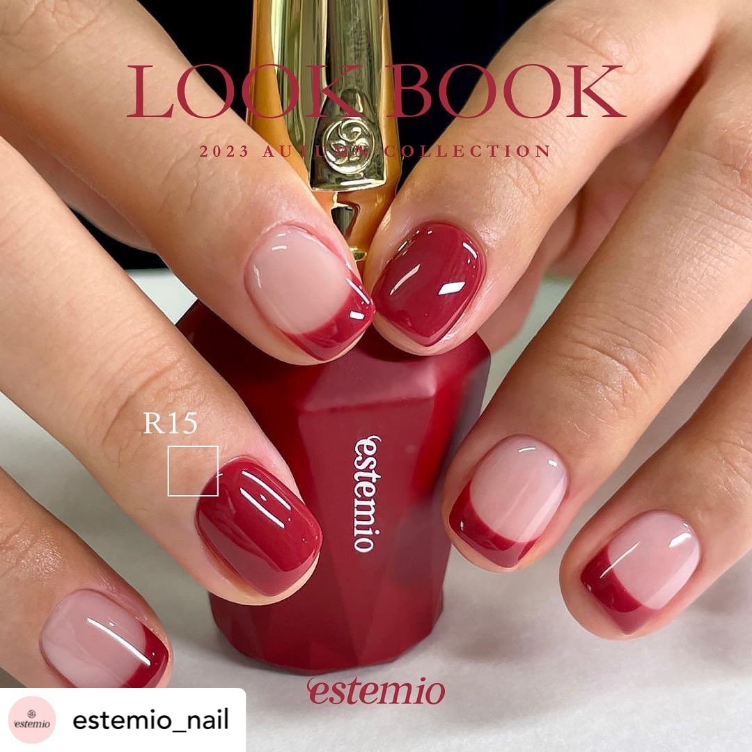 Estemio ~ R15 *LOOK BOOK Collection *