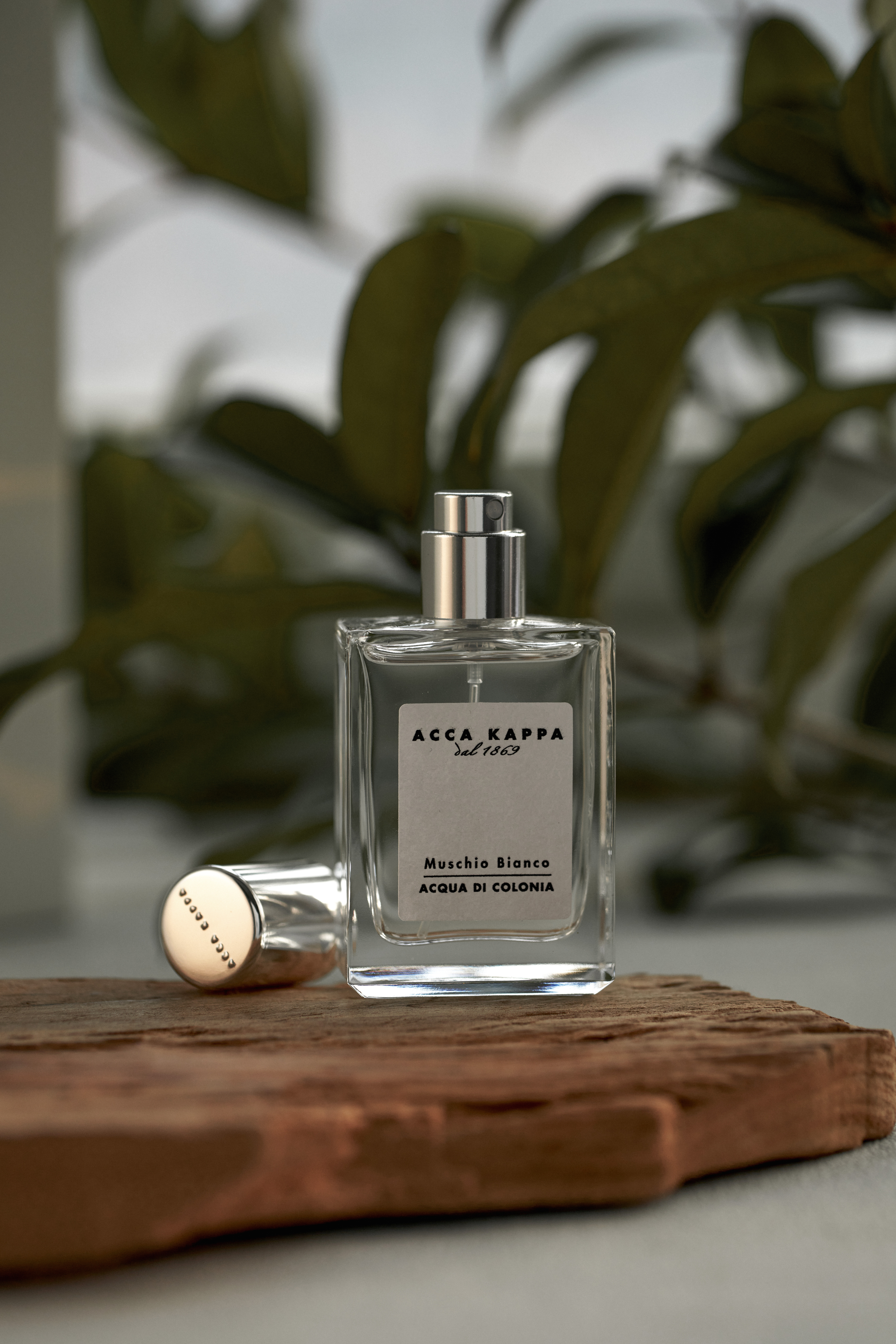 Acca Kappa 白麝香古龍水