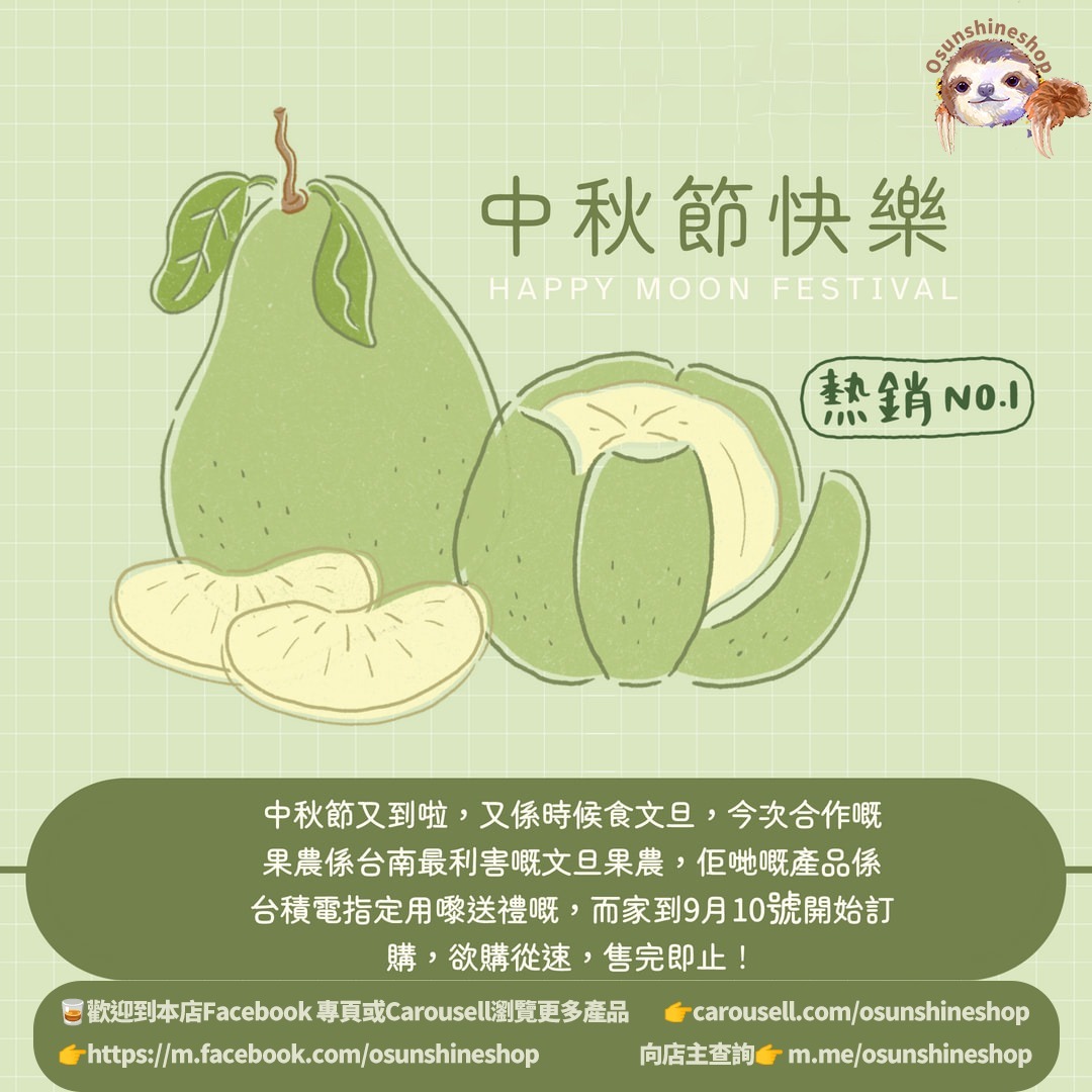 Osunshineshop 台南 文旦 6個 / 12個 禮盒裝 中秋節