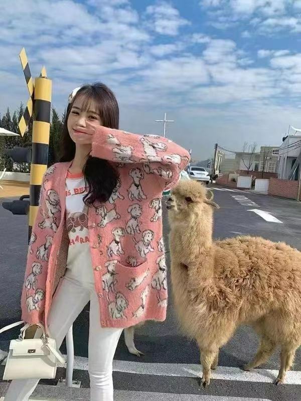 Celine 粉色狗狗拉絨棉質開衫 2A94W5 31Q 24BP - T