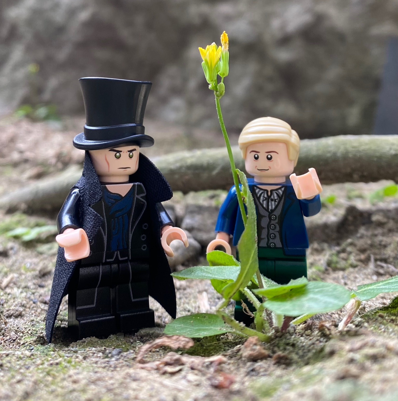 [ArabianNights] 夏洛克 一組2隻