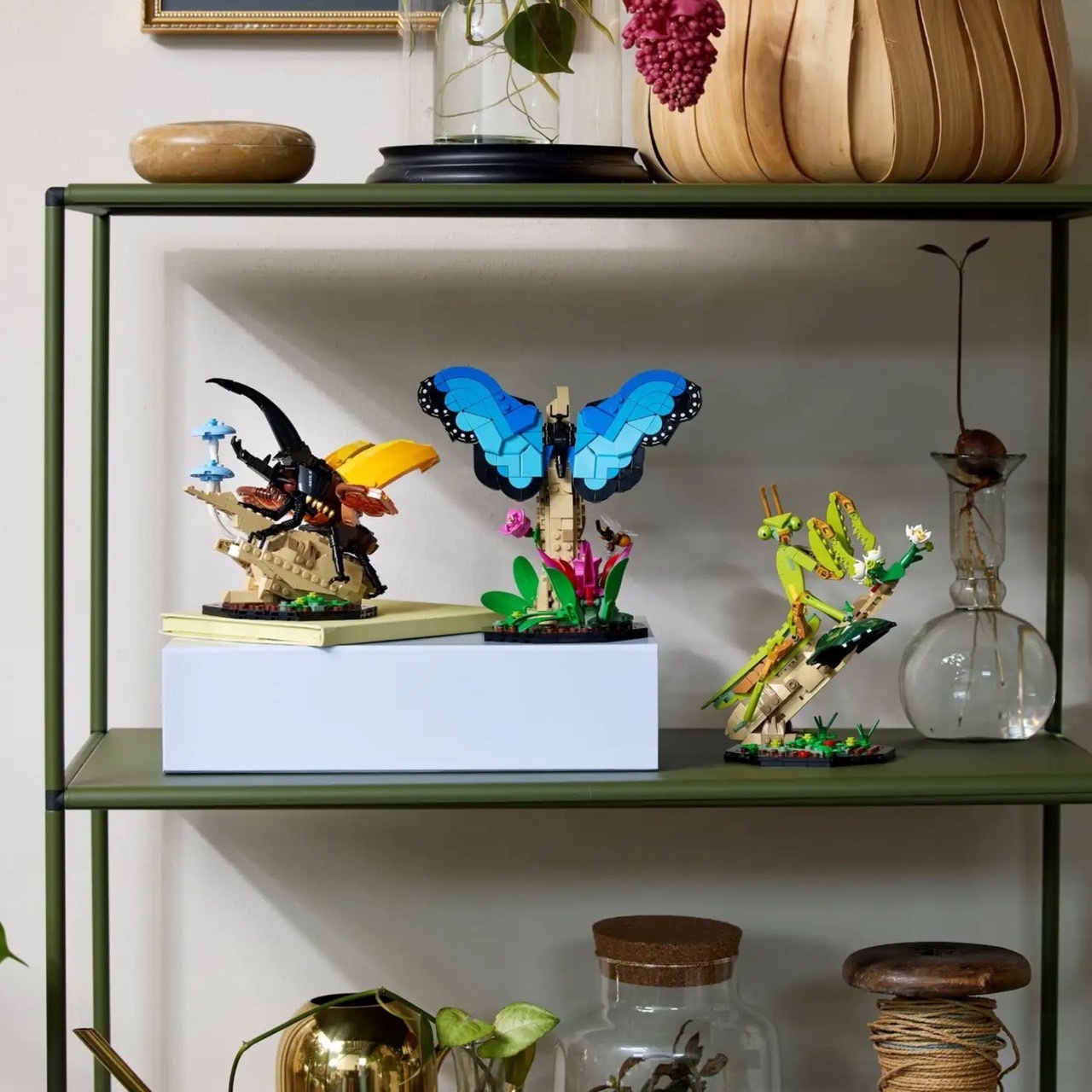 LEGO 21342 昆蟲集錦The Insect Collection 樂高® IDEAS系列