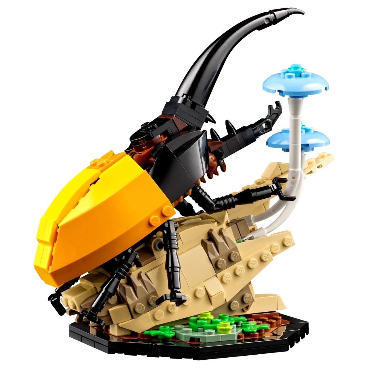 LEGO 21342 昆蟲集錦The Insect Collection 樂高® IDEAS系列