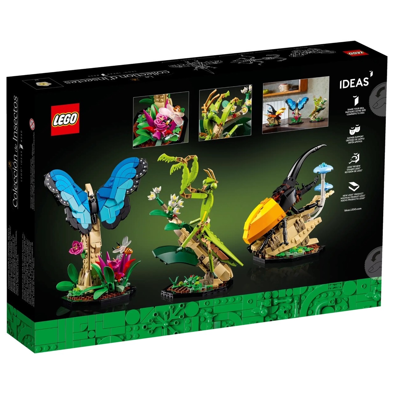 LEGO 21342 昆蟲集錦The Insect Collection 樂高® IDEAS系列