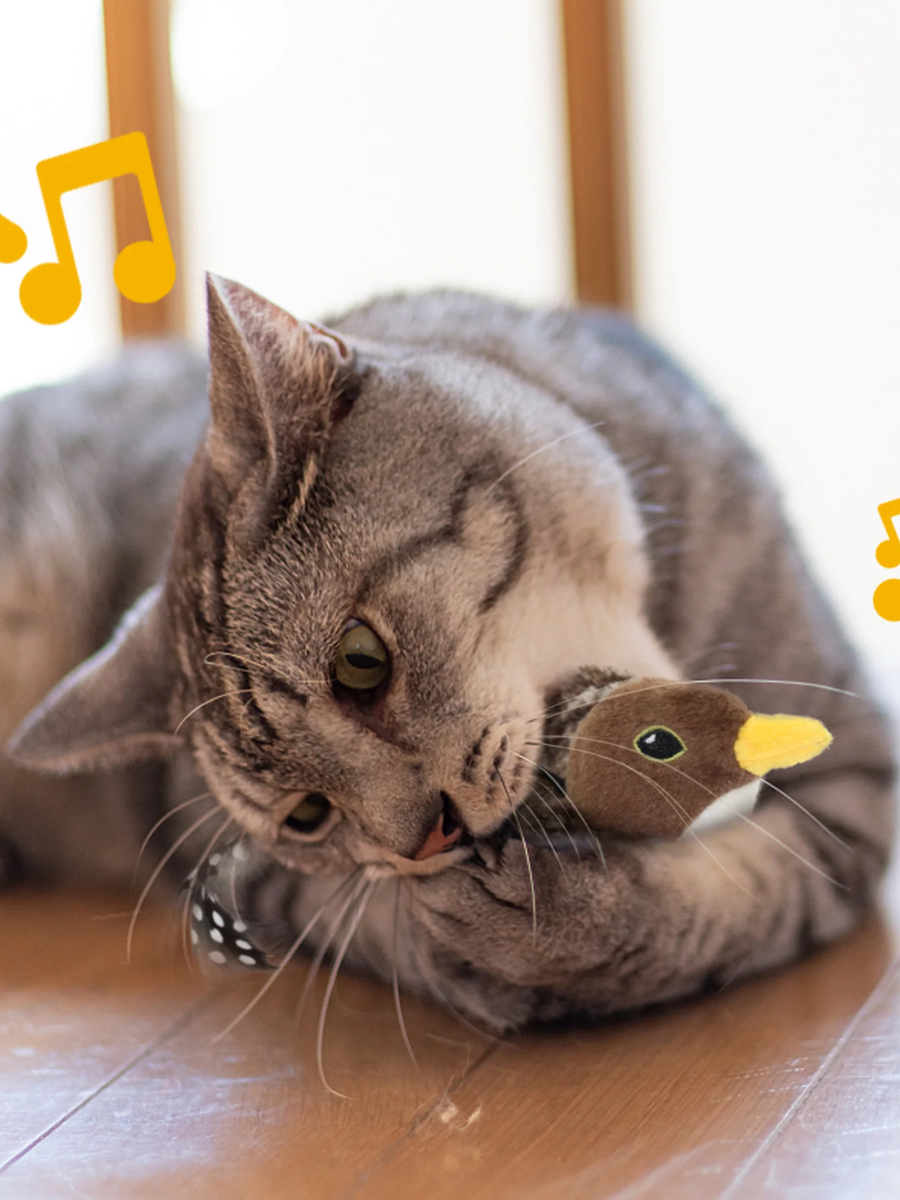 【Pet Future】自動逗貓拍拍羅賓鳥 Flappy Bird