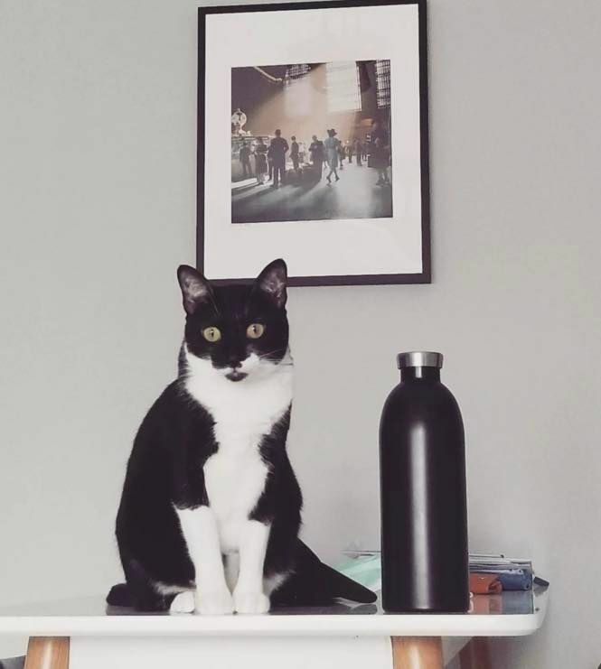 義大利 24Bottles 不鏽鋼雙層保溫瓶 850ml / 經典系列