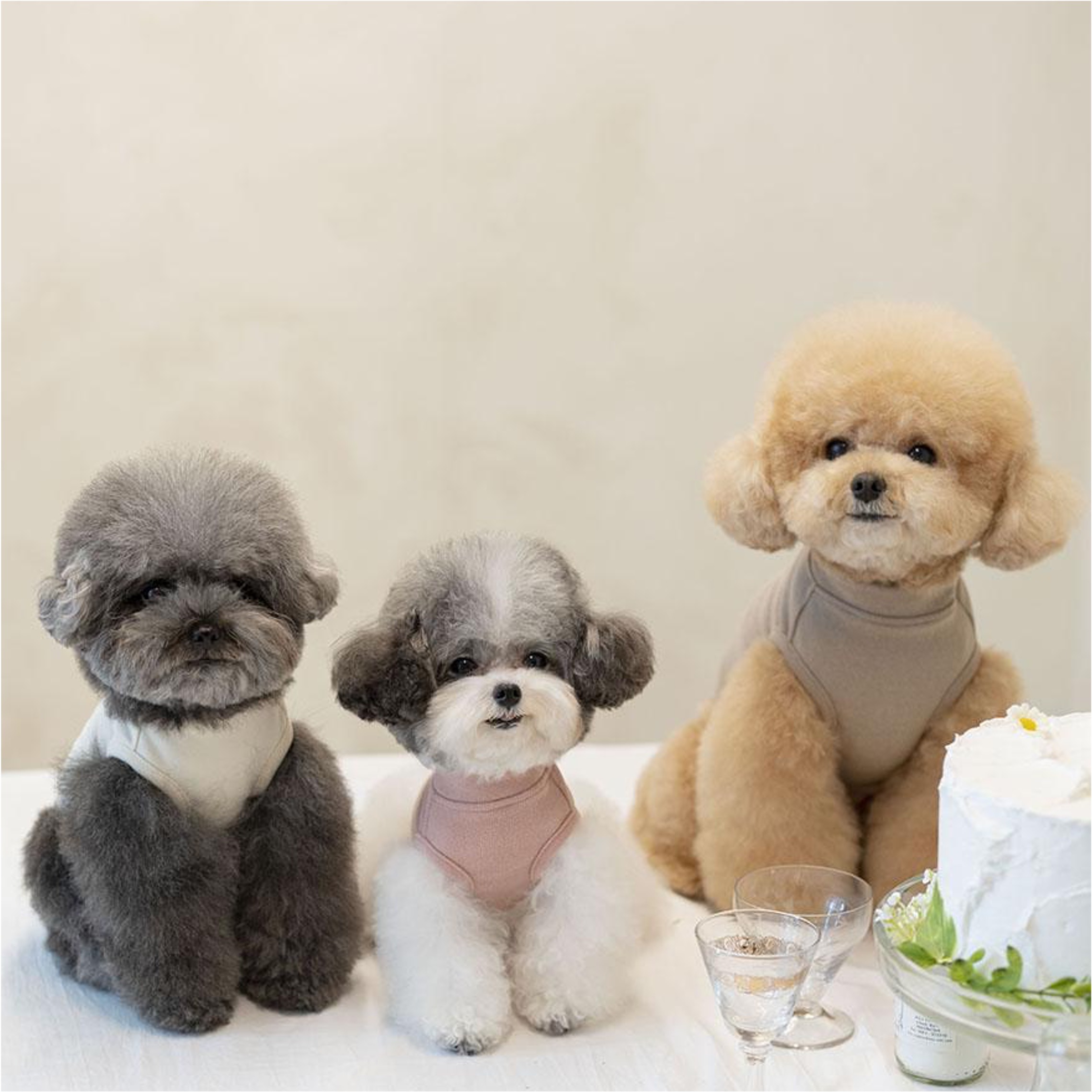 OPAAAP 新版軟刷毛無袖T-Shirt