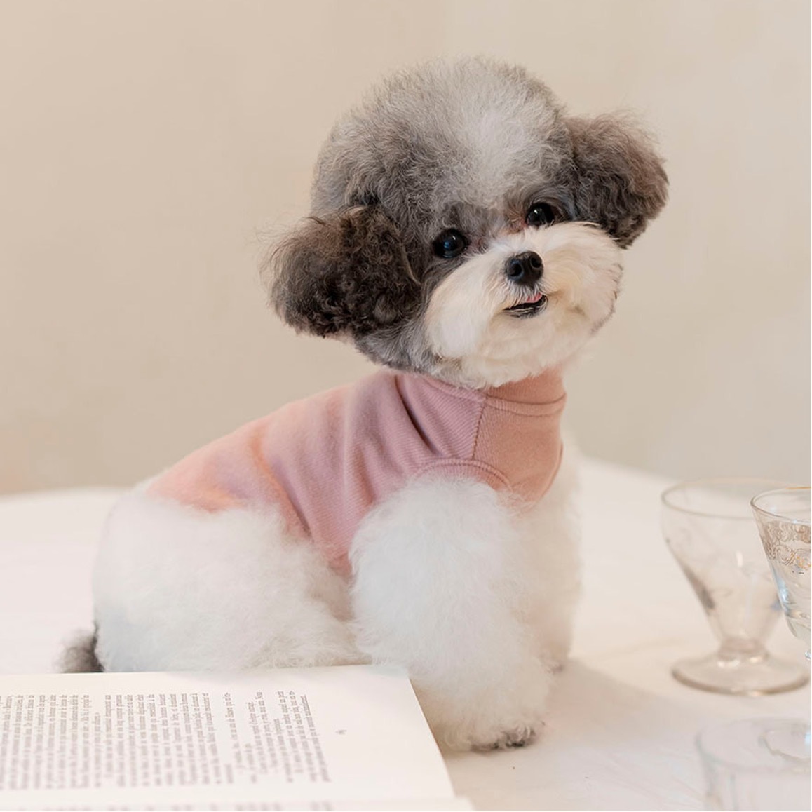 OPAAAP 新版軟刷毛無袖T-Shirt