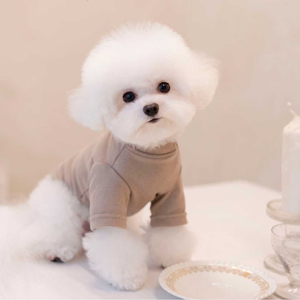 OPAAAP 新版軟刷毛短袖T-Shirt