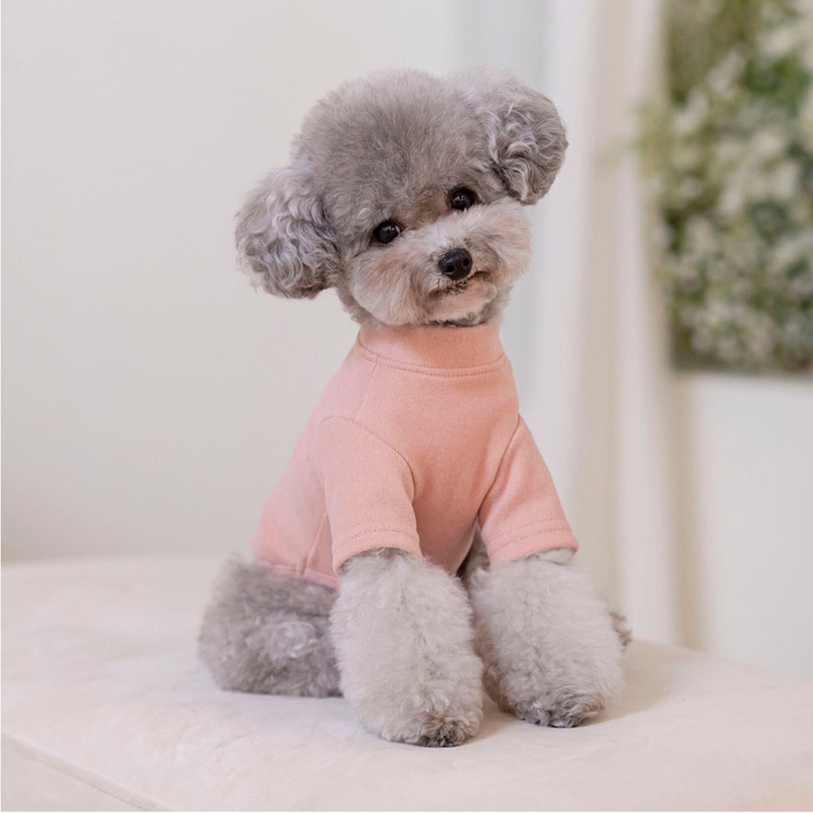 OPAAAP 新版軟刷毛短袖T-Shirt