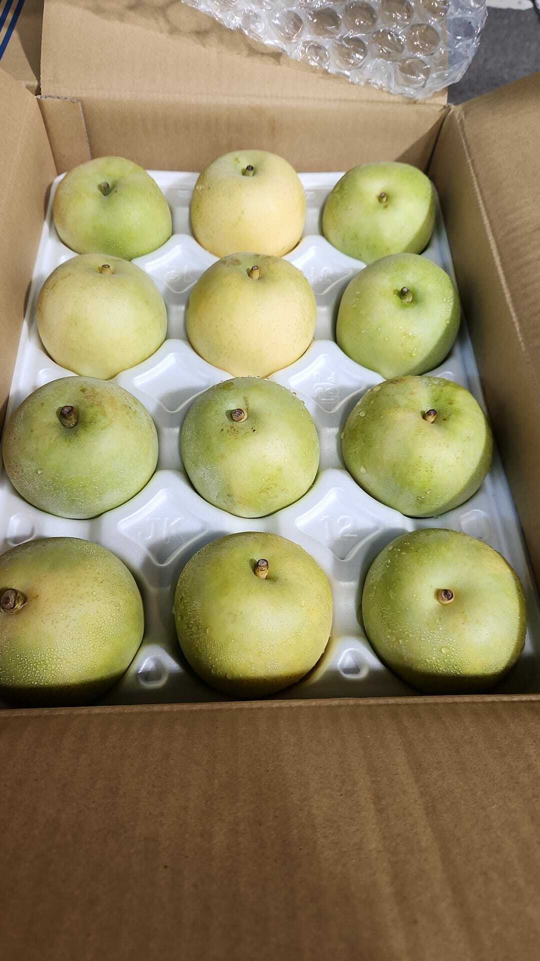 日本鳥取水晶梨 - 秀級 (三隻)