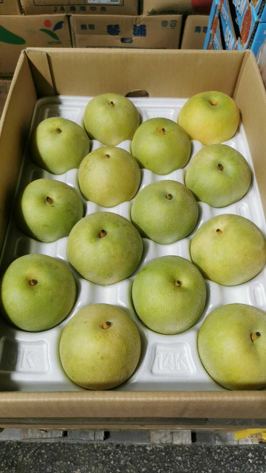 日本鳥取水晶梨 - 秀級 (三隻)