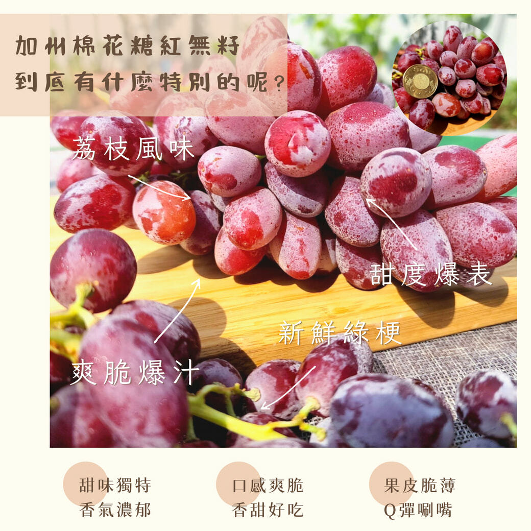 美國加州棉花糖紅無籽葡萄
