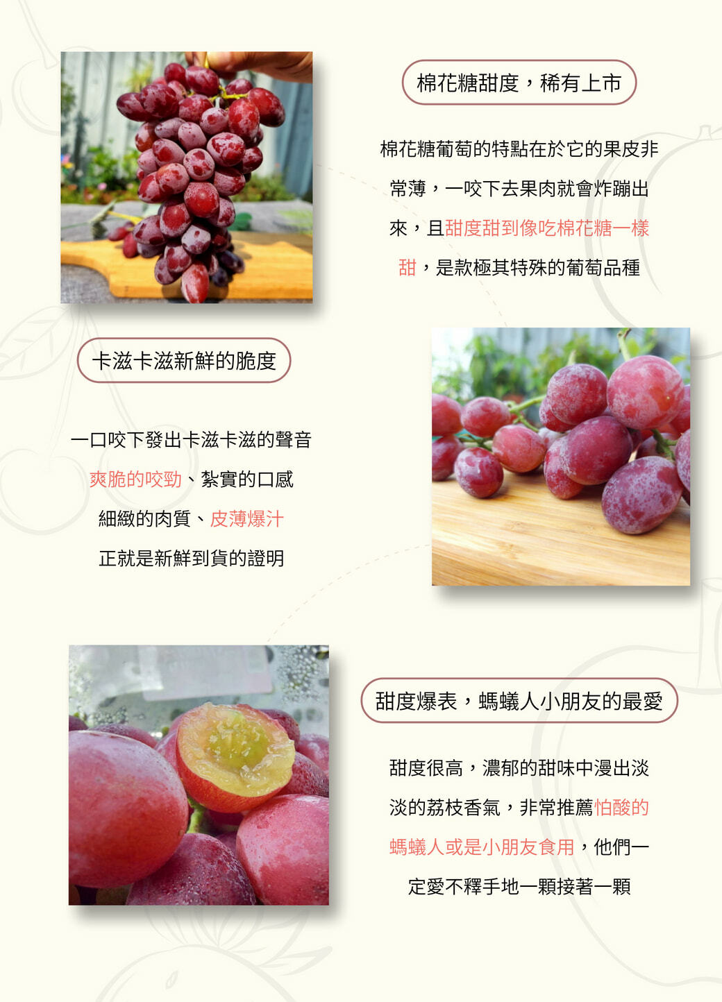 美國加州棉花糖紅無籽葡萄