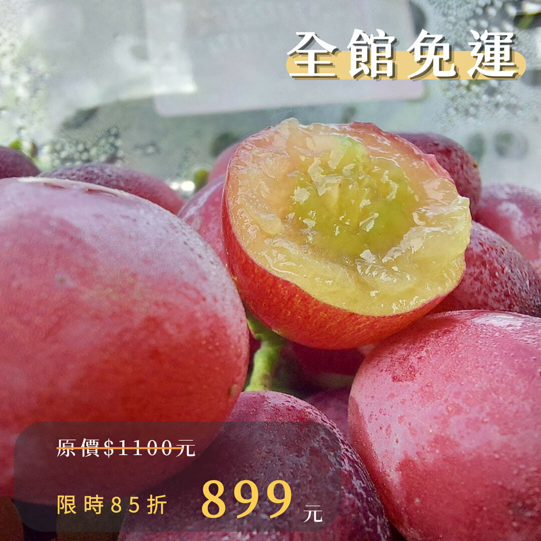 美國加州棉花糖紅無籽葡萄