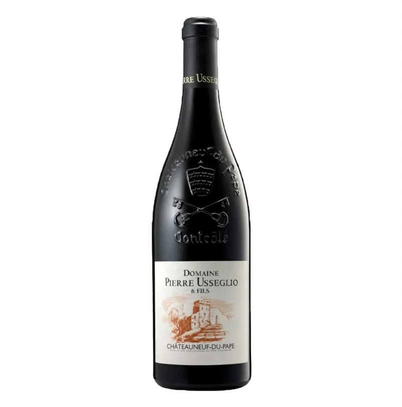 Pierre Usseglio et Fils Chateauneuf du Pape 2019 (RP92)
