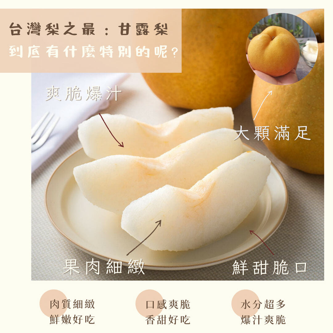 台灣大顆甘露梨