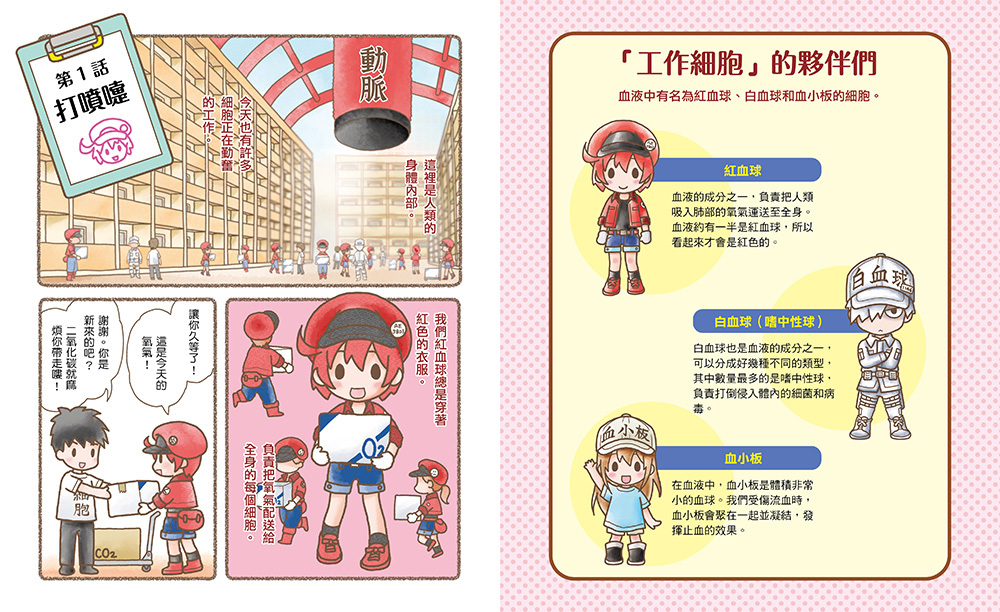 繪本工作細胞1敵人入侵！白血球與細菌大對決