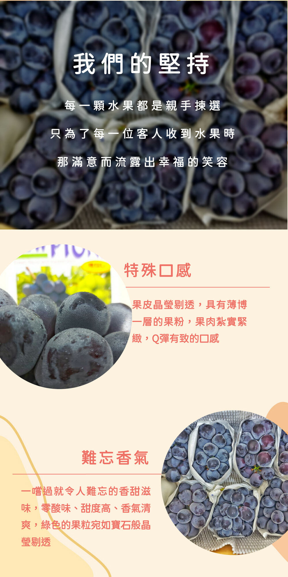 中秋水果禮盒-日本岡山貓眼葡萄