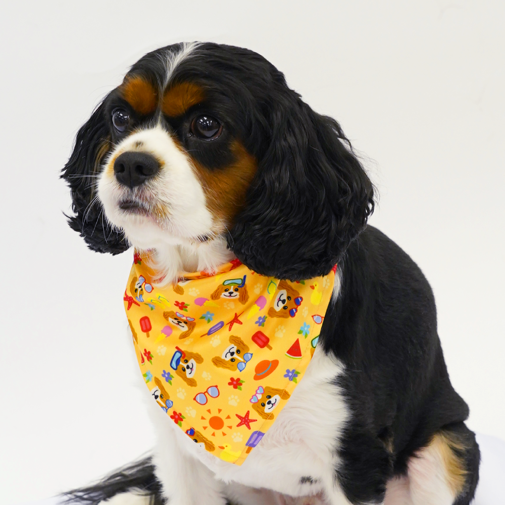 Cavalier King Charles Spaniel Pattern Bandana