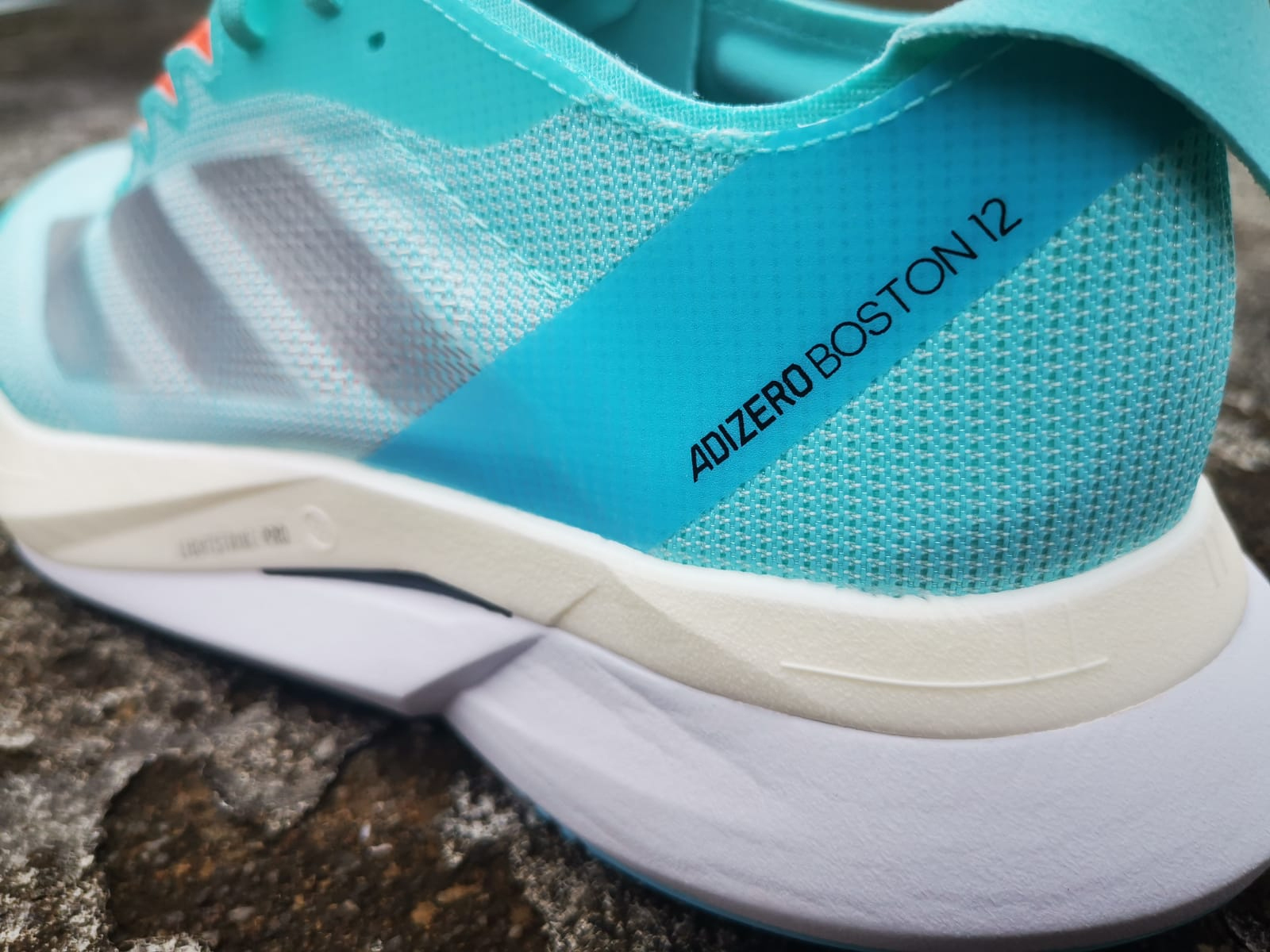 Adidas Boston12 LTAQUA Women