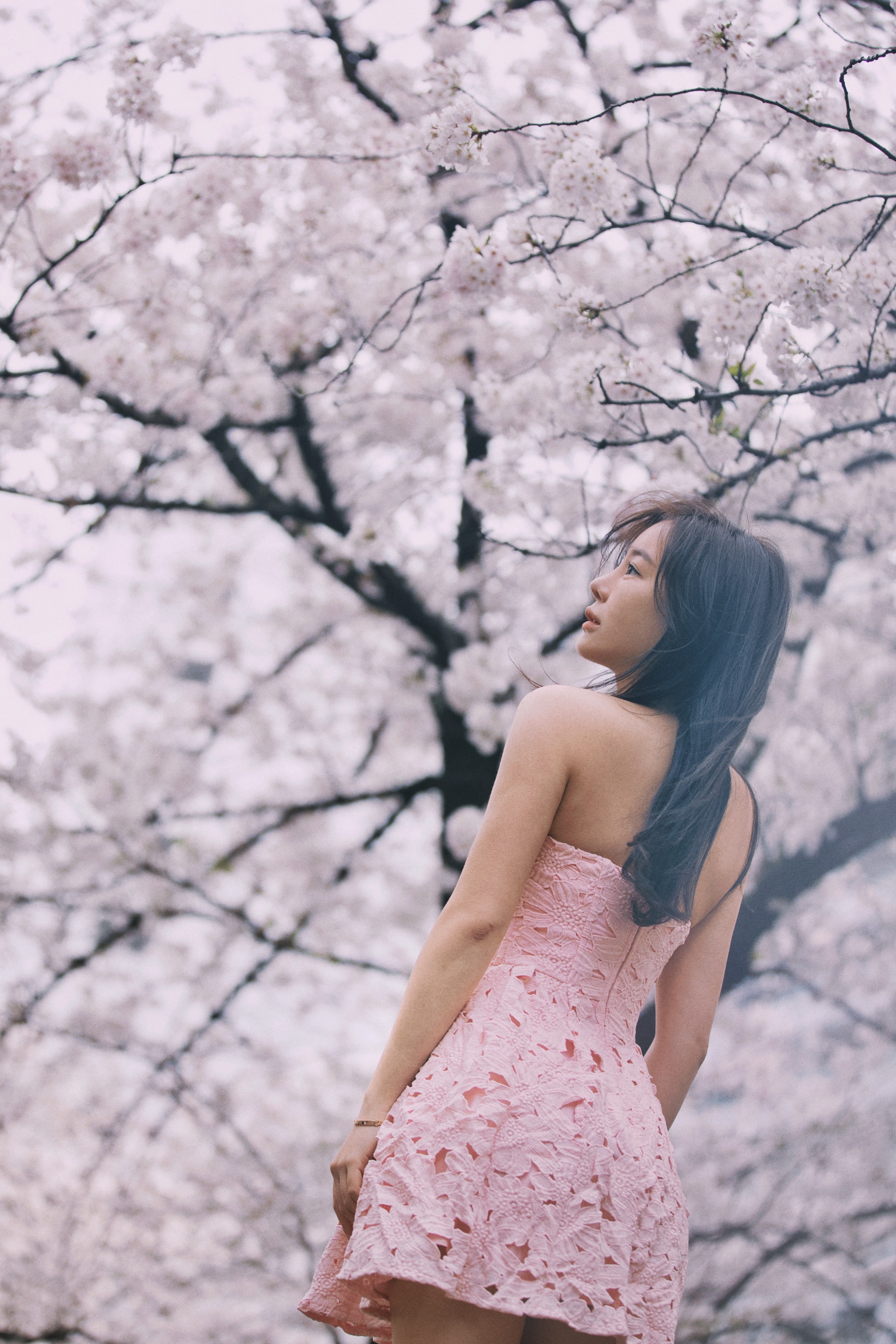 (微瑕出清) Fairy tale 童話 雕花蕾絲魚骨小洋裝