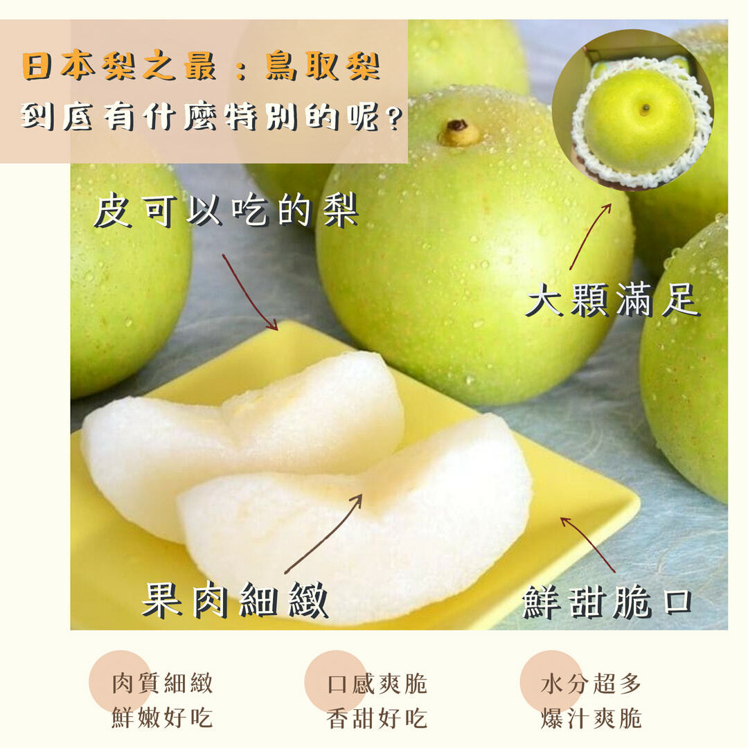 中秋水果禮盒-日本20世紀鳥取梨
