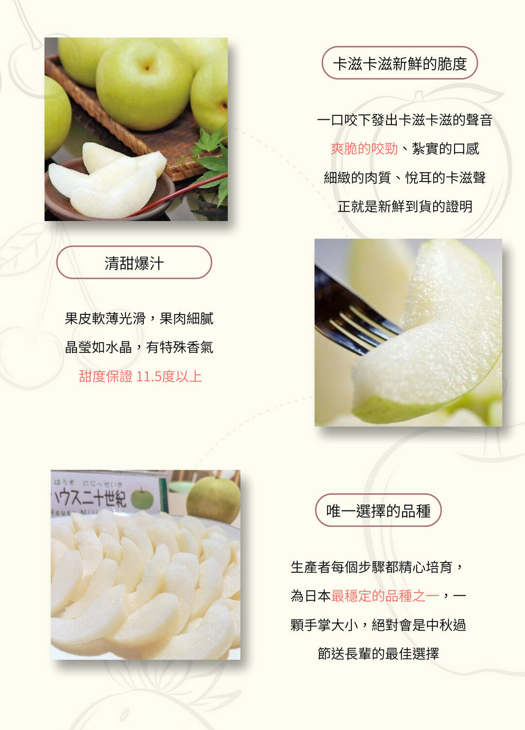 中秋水果禮盒-日本20世紀鳥取梨