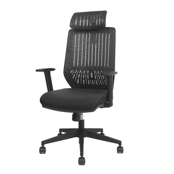 Backbone Backbone / Peacock 人體工學椅 — 三峽麥克風｜YA! 玩音樂