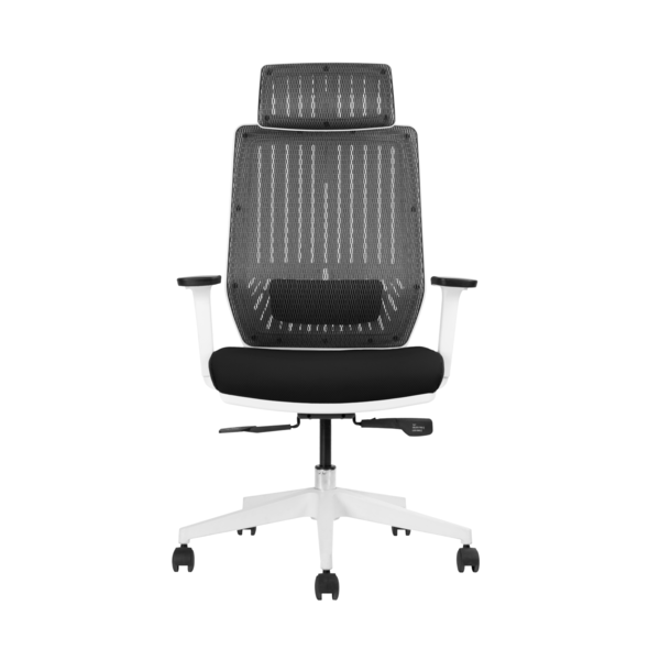 Backbone Backbone / Peacock 人體工學椅 第 3 張圖片｜三峽麥克風