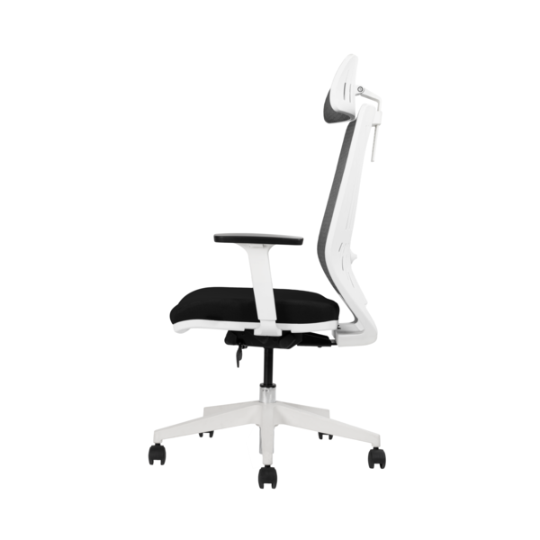 Backbone Backbone / Peacock 人體工學椅 第 4 張圖片｜三峽麥克風