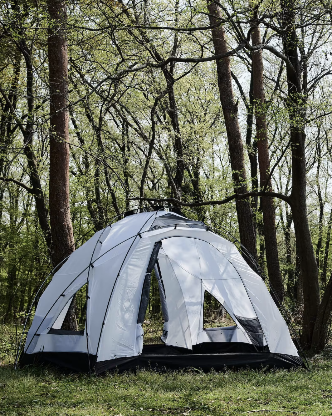 MURACO｜GUSTAV 6P 六人帳