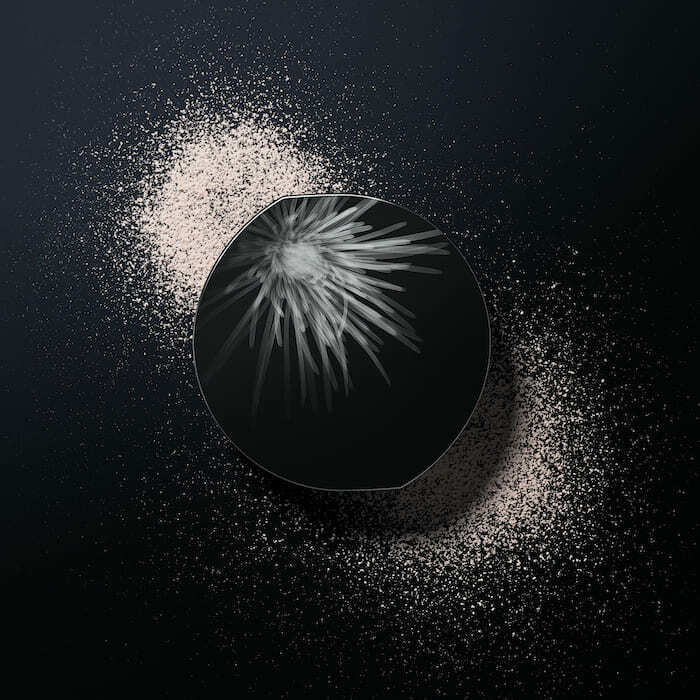 POLA BA Finishing Powder N 碧艾柔光絲滑蜜粉 16g