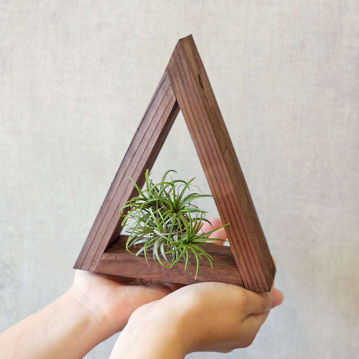 PD155｜木框空氣鳳梨