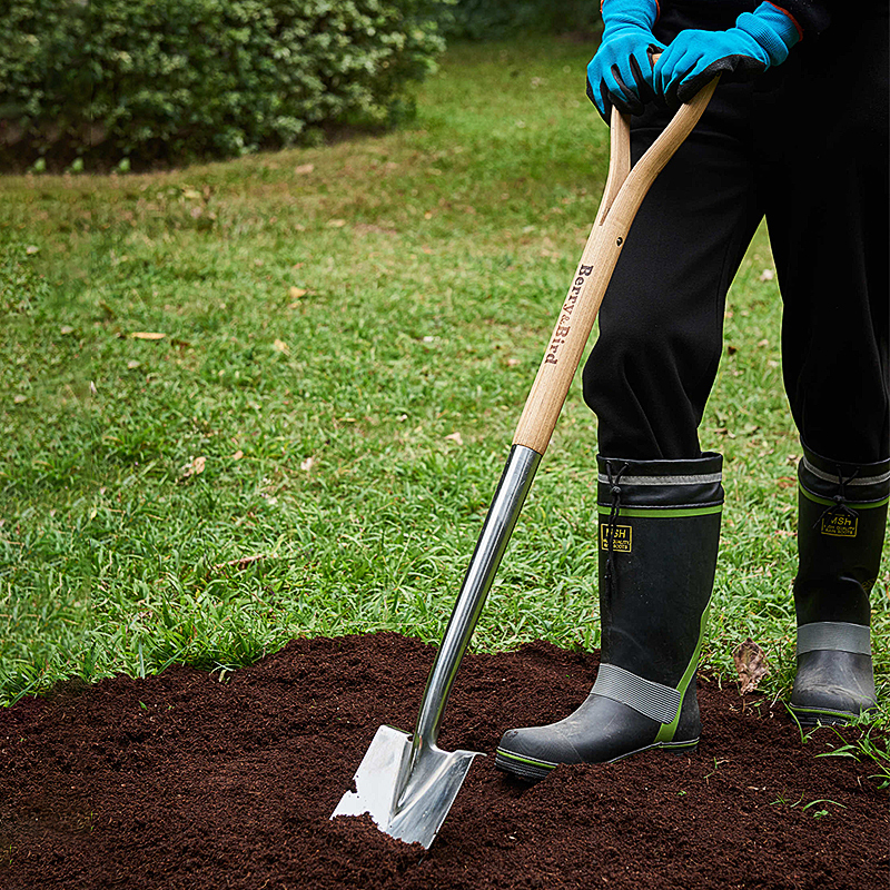 Berry Bird-不銹鋼小鏟
