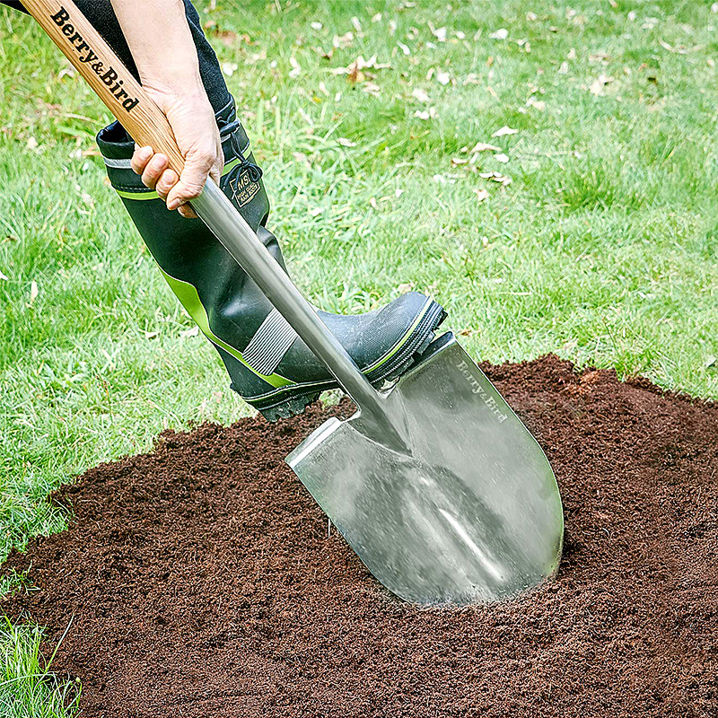 Berry Bird-不銹鋼尖頭小鏟