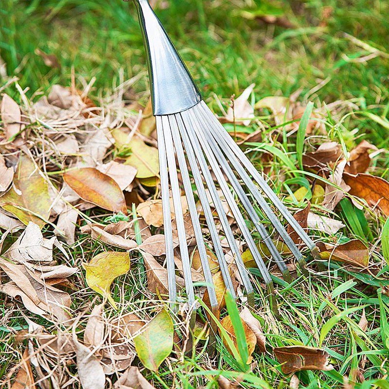 Berry Bird-不銹鋼灌木耙