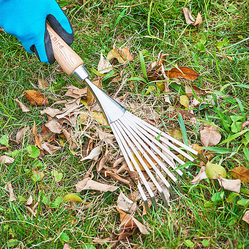 Berry Bird-不銹鋼灌木耙