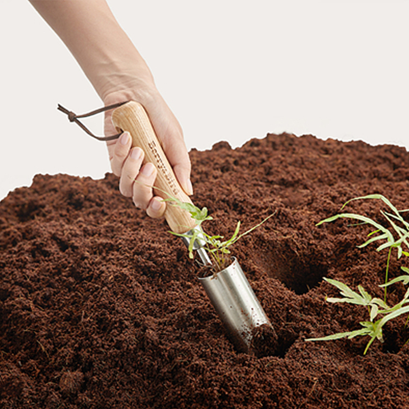 Berry Bird-小型球根種植器