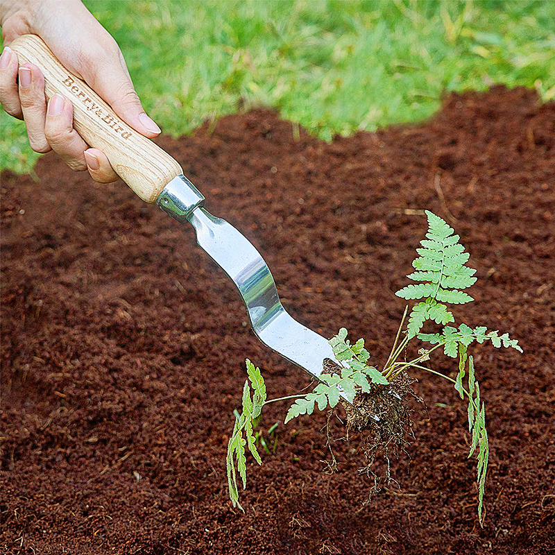 Berry Bird-不銹鋼起草器