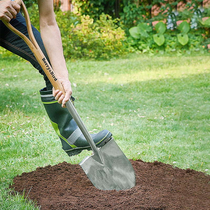 Berry Bird-不銹鋼尖頭大鏟